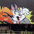 bugs_1