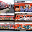 sf36-03