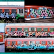 sf36-05