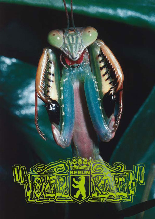 overkill13_511