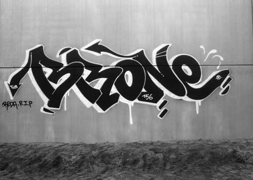 BLOGBRONE_511
