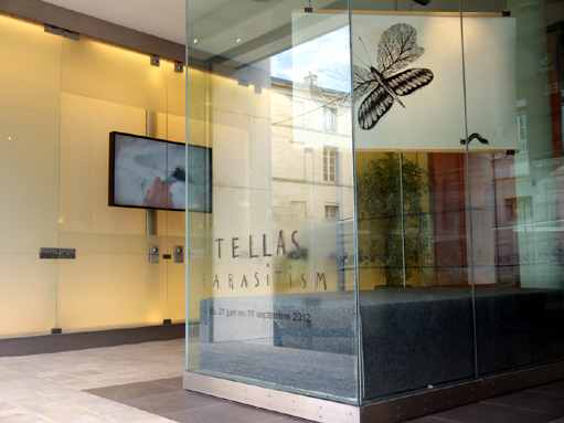 TELLAS-@-EXPRESSIONs-LES-PHOTOS-511