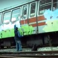Vandal Rodeo 6 - 511