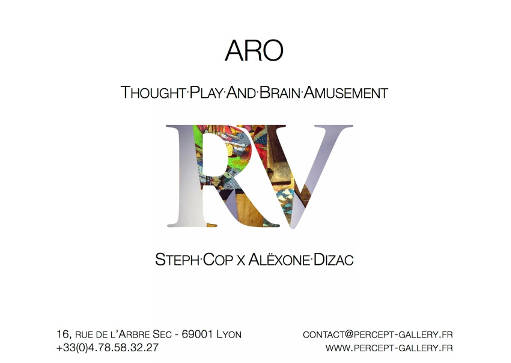 ARO RV @ Percept gallery-511