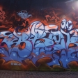 65