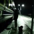 Dark side of the Moose - 511