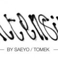 Saeyo Tomek @ Galerie Association d idees - 511