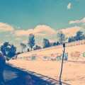 The creatures of Sofia - 511
